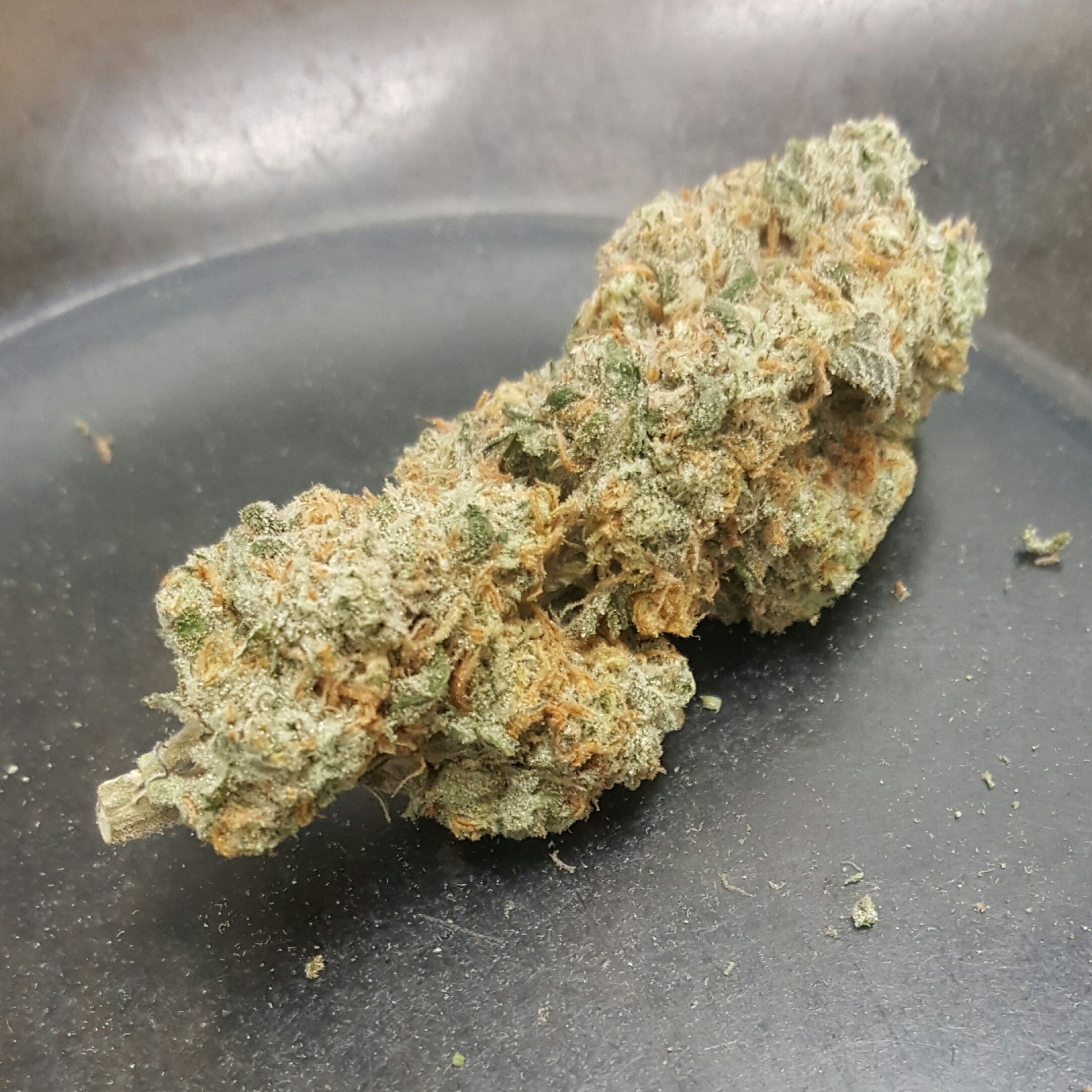 marijuana-dispensaries-4845-van-gordon-st-wheat-ridge-cookie-krypt-tax-included