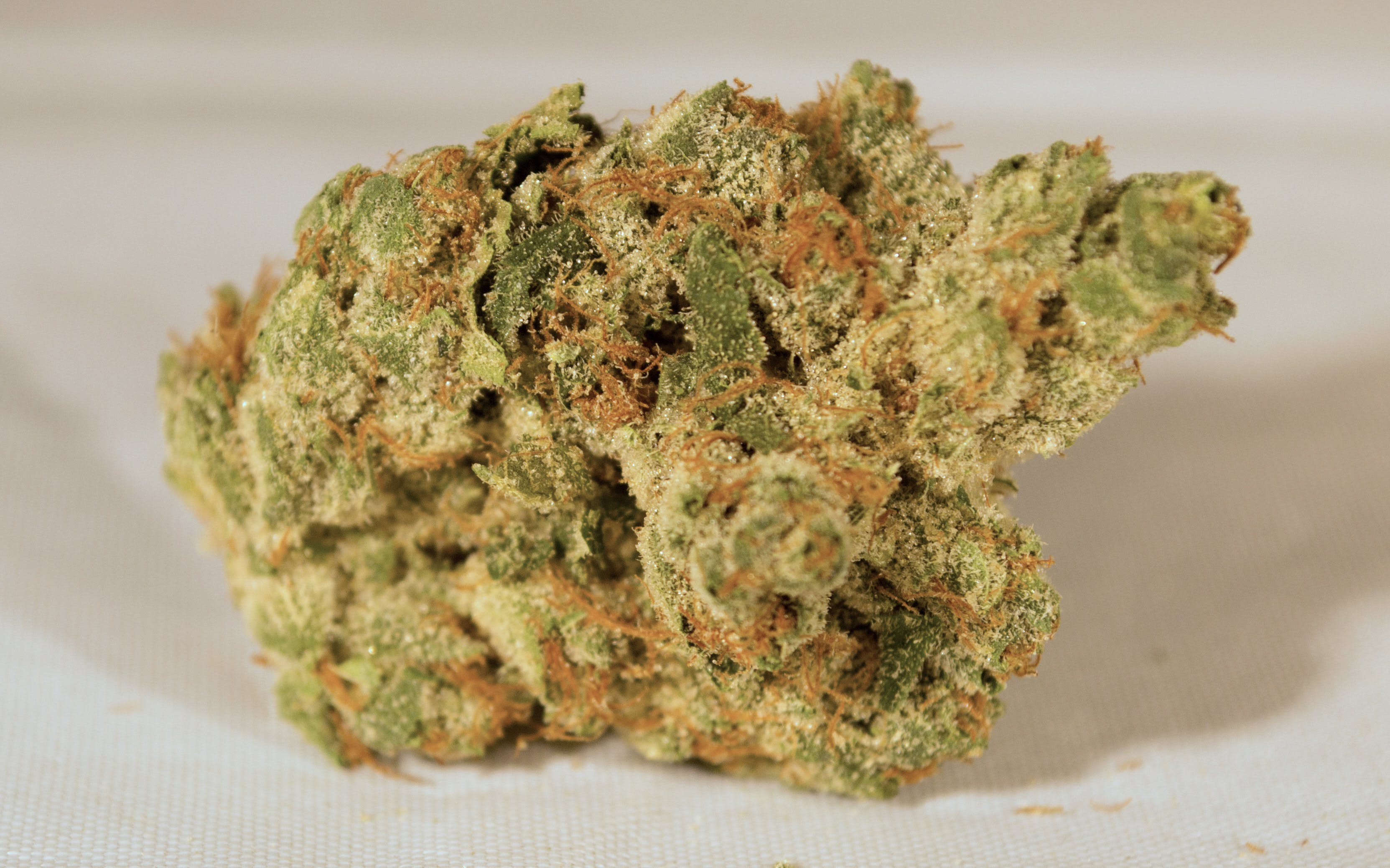 marijuana-dispensaries-1537-pearl-st-unit-b-boulder-cookie-monster-select