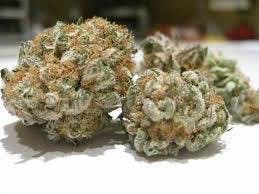 marijuana-dispensaries-topanga-holistic-center-in-woodland-hills-cookie-monster
