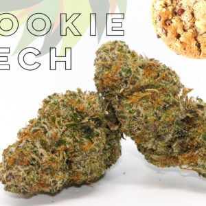 Cookie Tech - from Shore Natural Rx