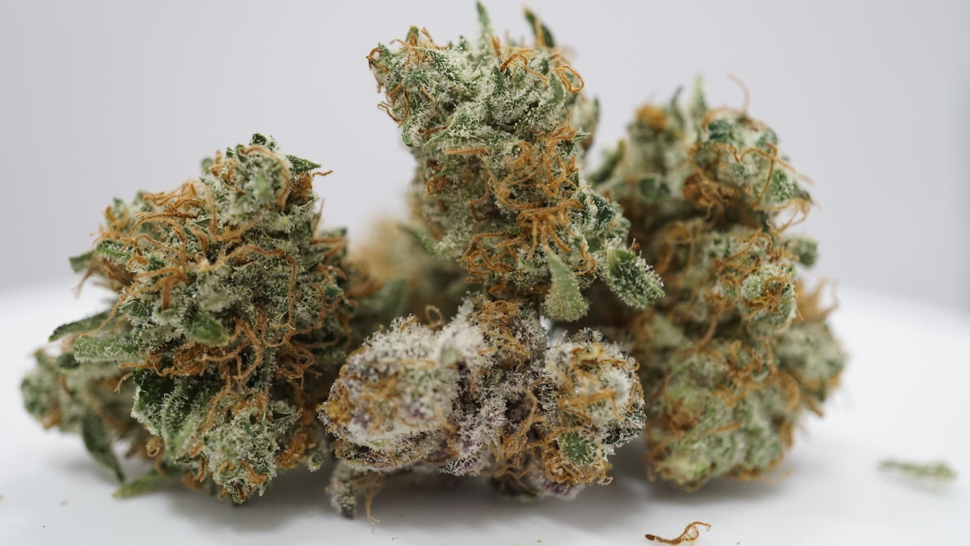 marijuana-dispensaries-9291-baltimore-national-pike-ellicott-city-cookies-and-cream-by-culta
