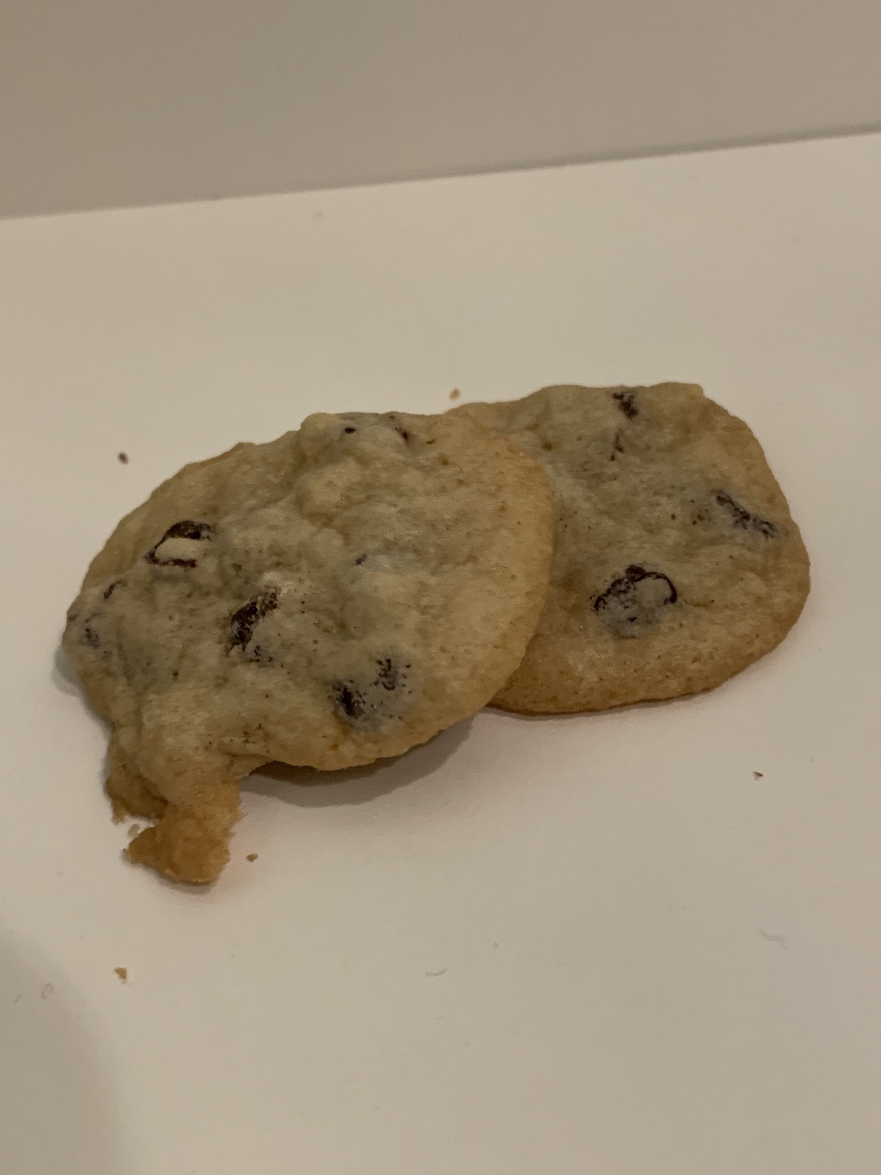 edible-cookies-chocolate-chip-100-mg