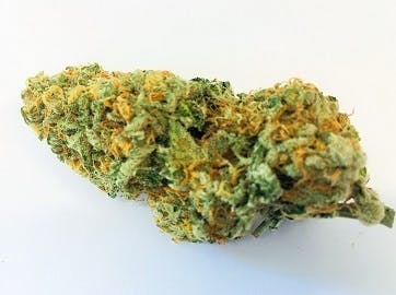 marijuana-dispensaries-513-portland-st-berwick-cosmo-kush