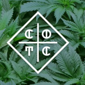 [CreamOfTheCrop] FSO High THC Indica 1G