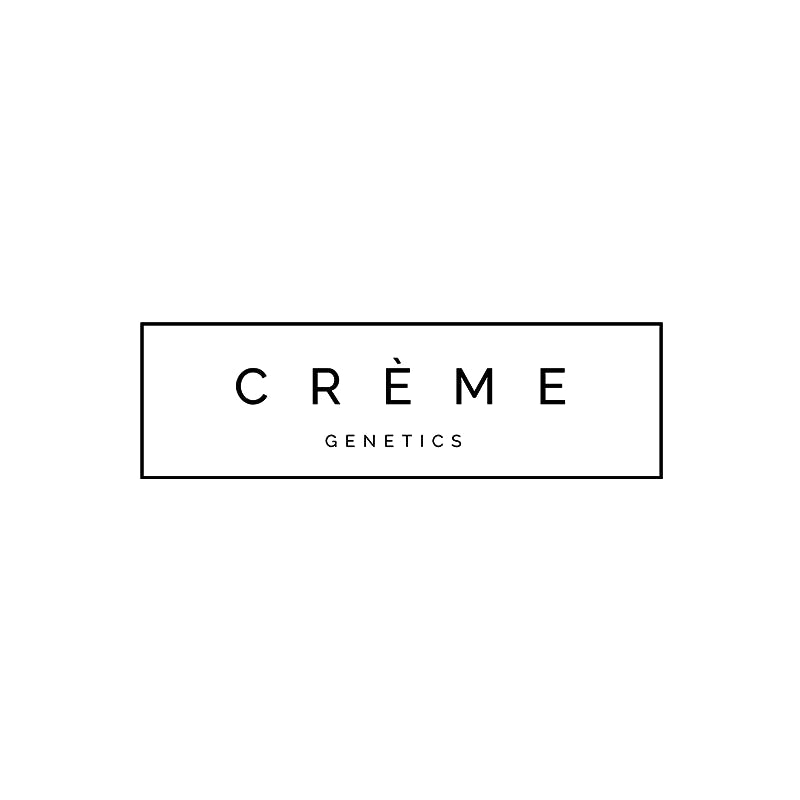 CREME | Night Creme