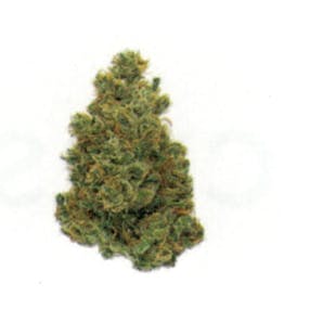 marijuana-dispensaries-5648-s-archer-avenue-chicago-cresco-reserve-reserva-privada