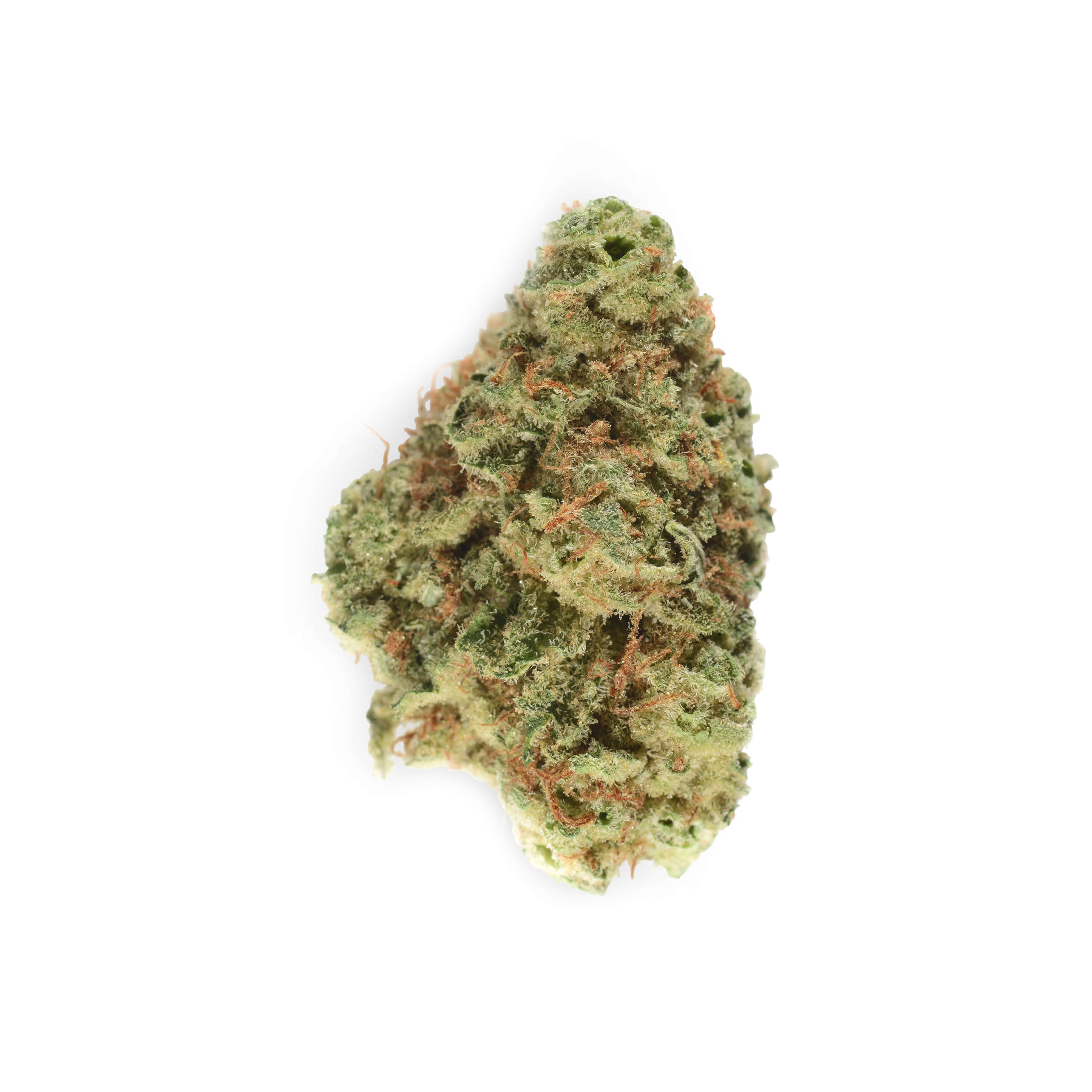 marijuana-dispensaries-872-harrisburg-pike-carlisle-cresco-yeltrah-bio-jesus