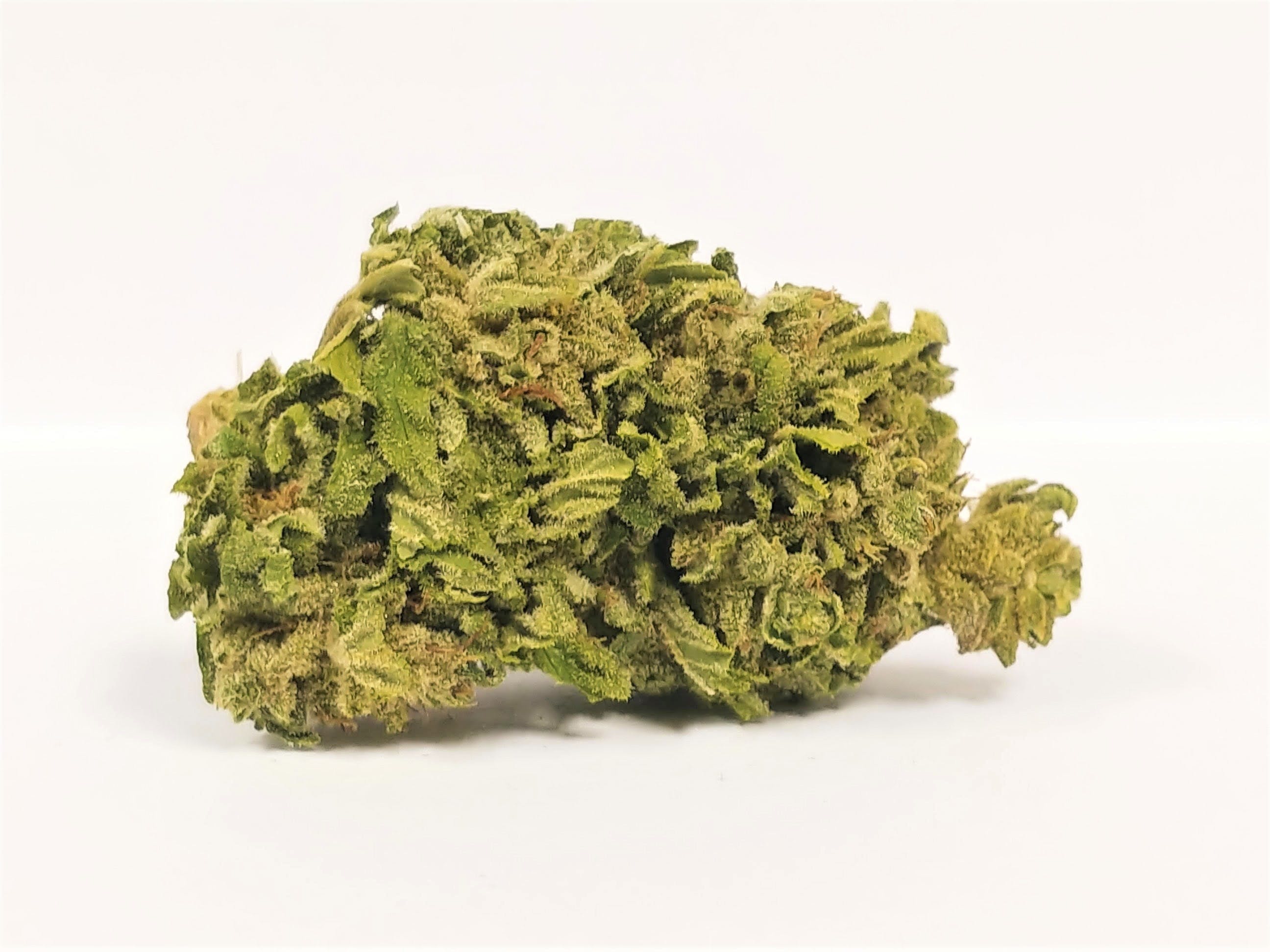 marijuana-dispensaries-1474-w-6th-avenue-eugene-crippled-rhino-by-lifted-tax-included-rec