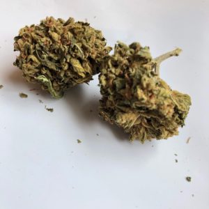 Critical Kush **$100 Ounce Special**