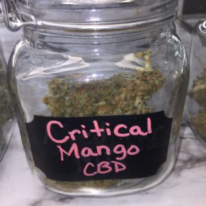 Critical Mango *High CBD*Low THC*