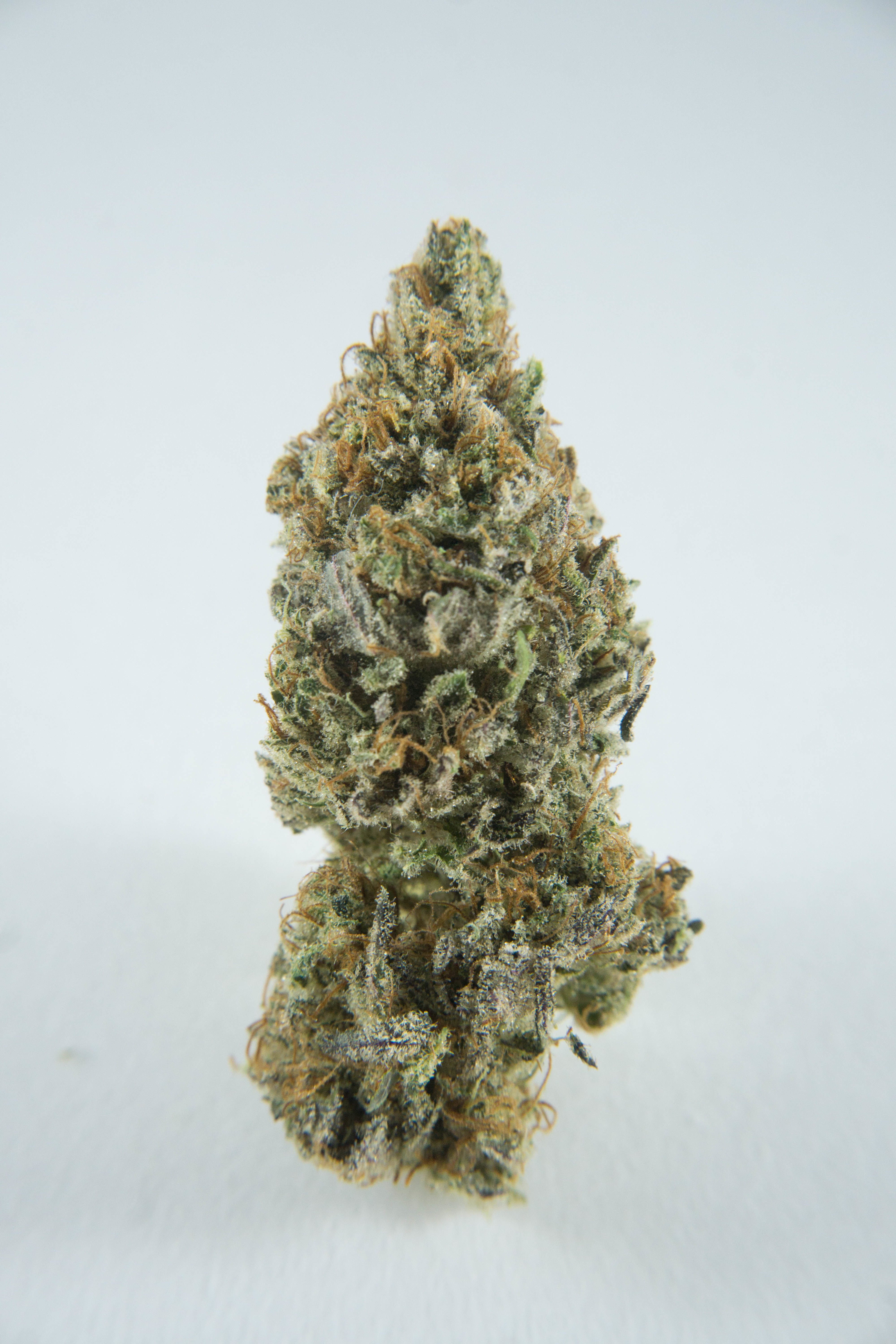 marijuana-dispensaries-thunder-cloud-9-in-juneau-critical-mass-cbd