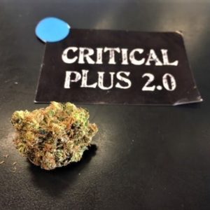 Critical Plus 2.0 21.05%