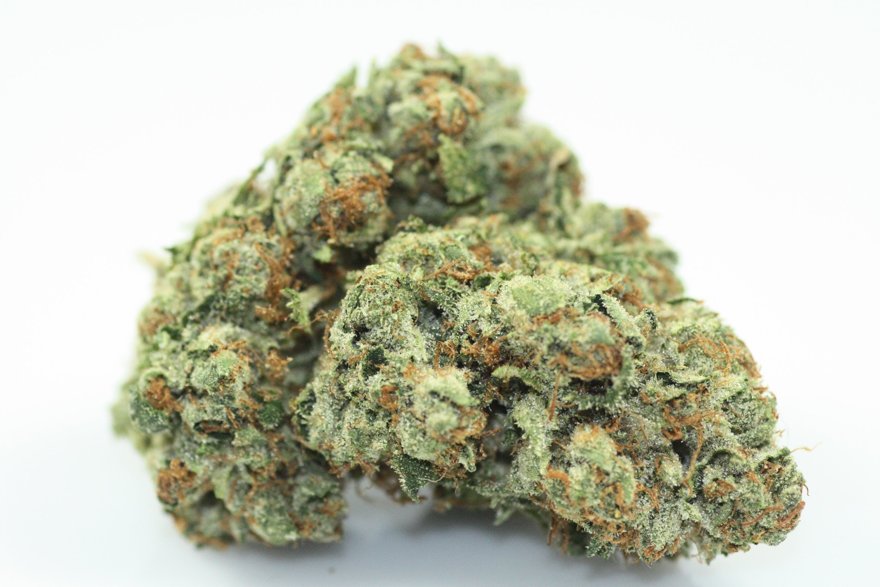 marijuana-dispensaries-346-n-azusa-la-puente-crown-og-cup-winner