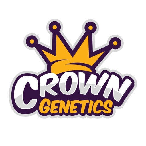 wax-crowngenetics-gods-gift-shatter