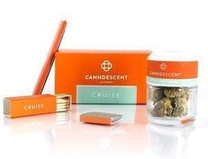 Cruise 223 (Canndescent)