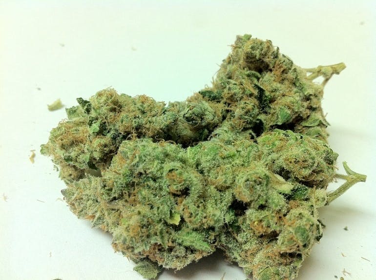 marijuana-dispensaries-medicine-wheel-in-roseneath-crystal-coma
