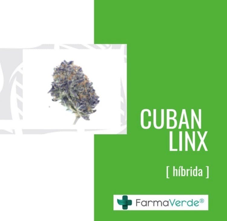 marijuana-dispensaries-farmaverde-bayamon-in-bayamon-cuban-linx