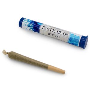 Cultivation Labs - WiFi - 1g Preroll