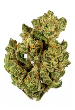 Cypress Cannabis - Banana OG