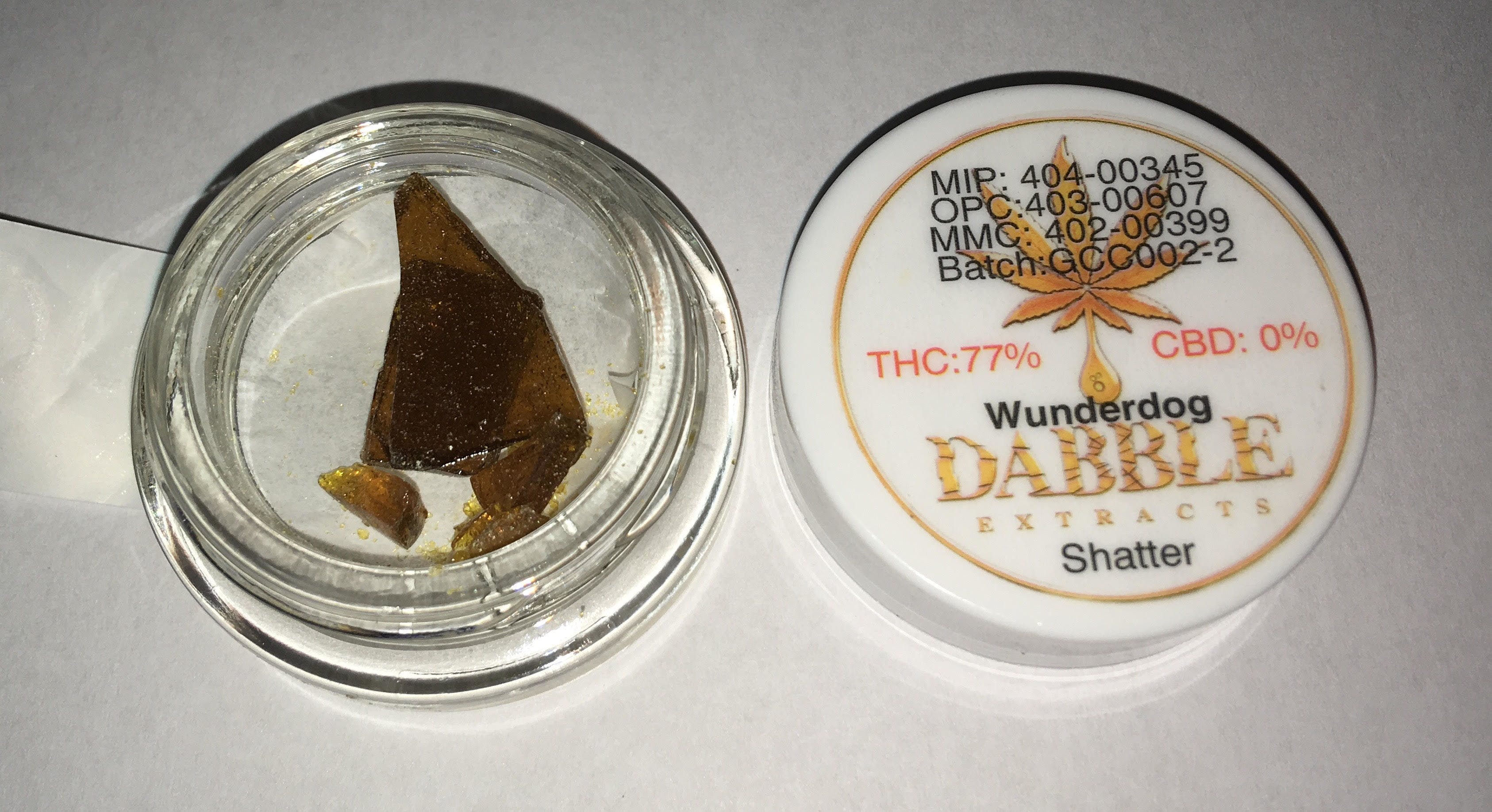 concentrate-dabble-wunderdog-shatter