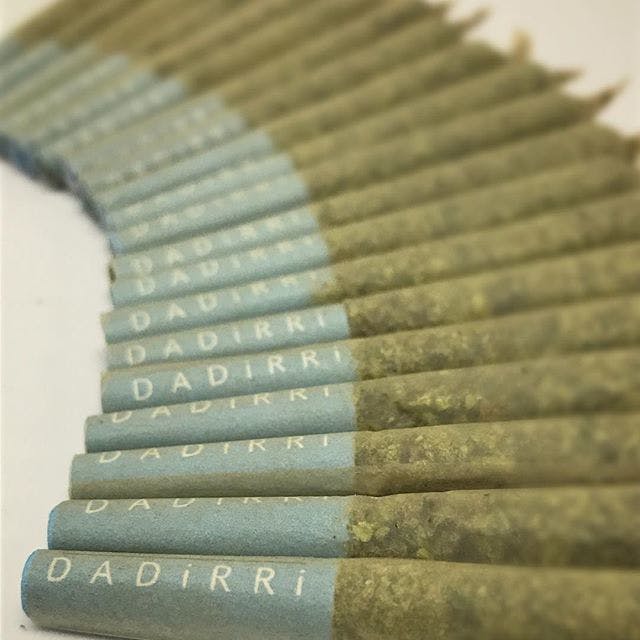 Dadirri - Caviar Preroll - Indica