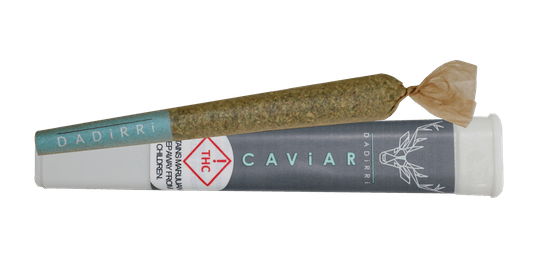 concentrate-dadirri-kaviar-cones