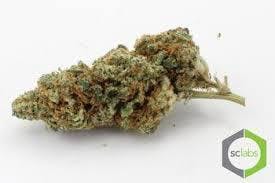 Daily Deal - Candyland ( 14G @ 35)