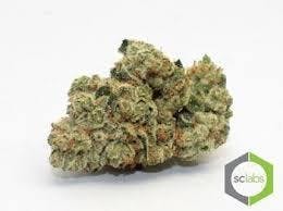 Daily Deal - Primo Kush ( 10G @ 35)