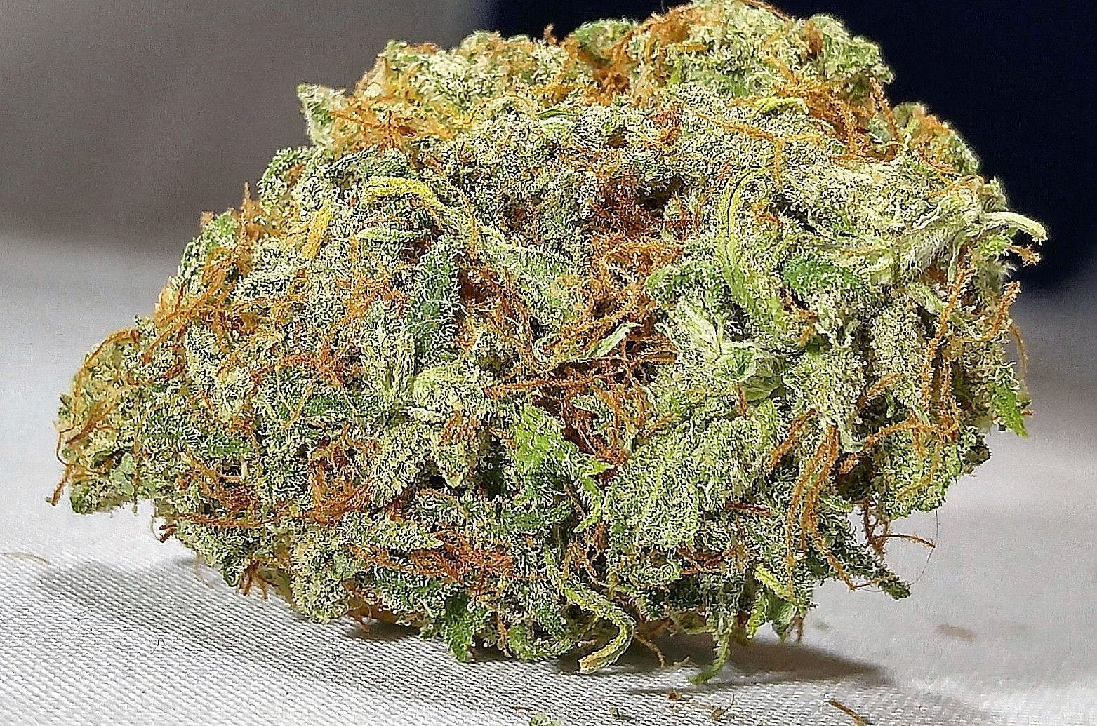 sativa-daily-deal-sour-jack