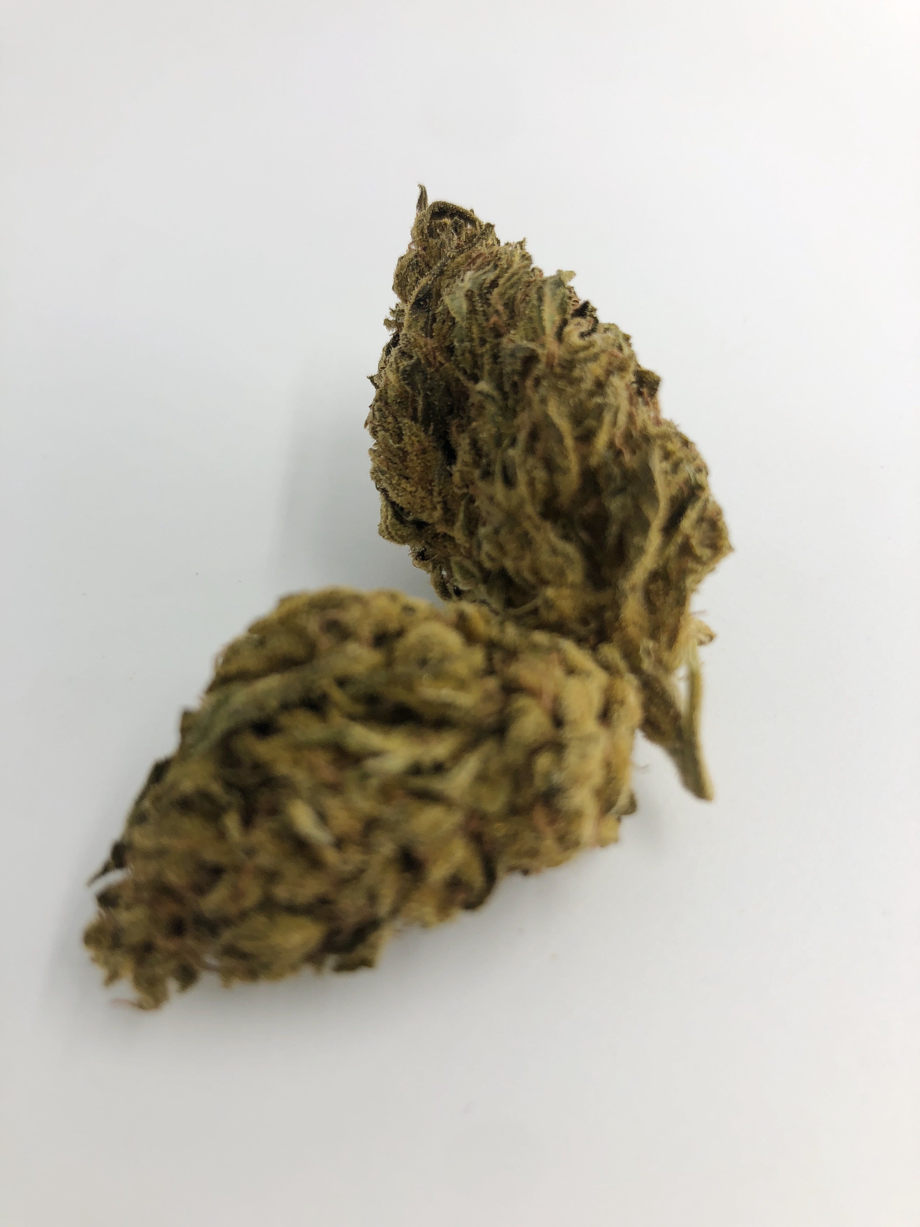 indica-daily-deals-chocolope