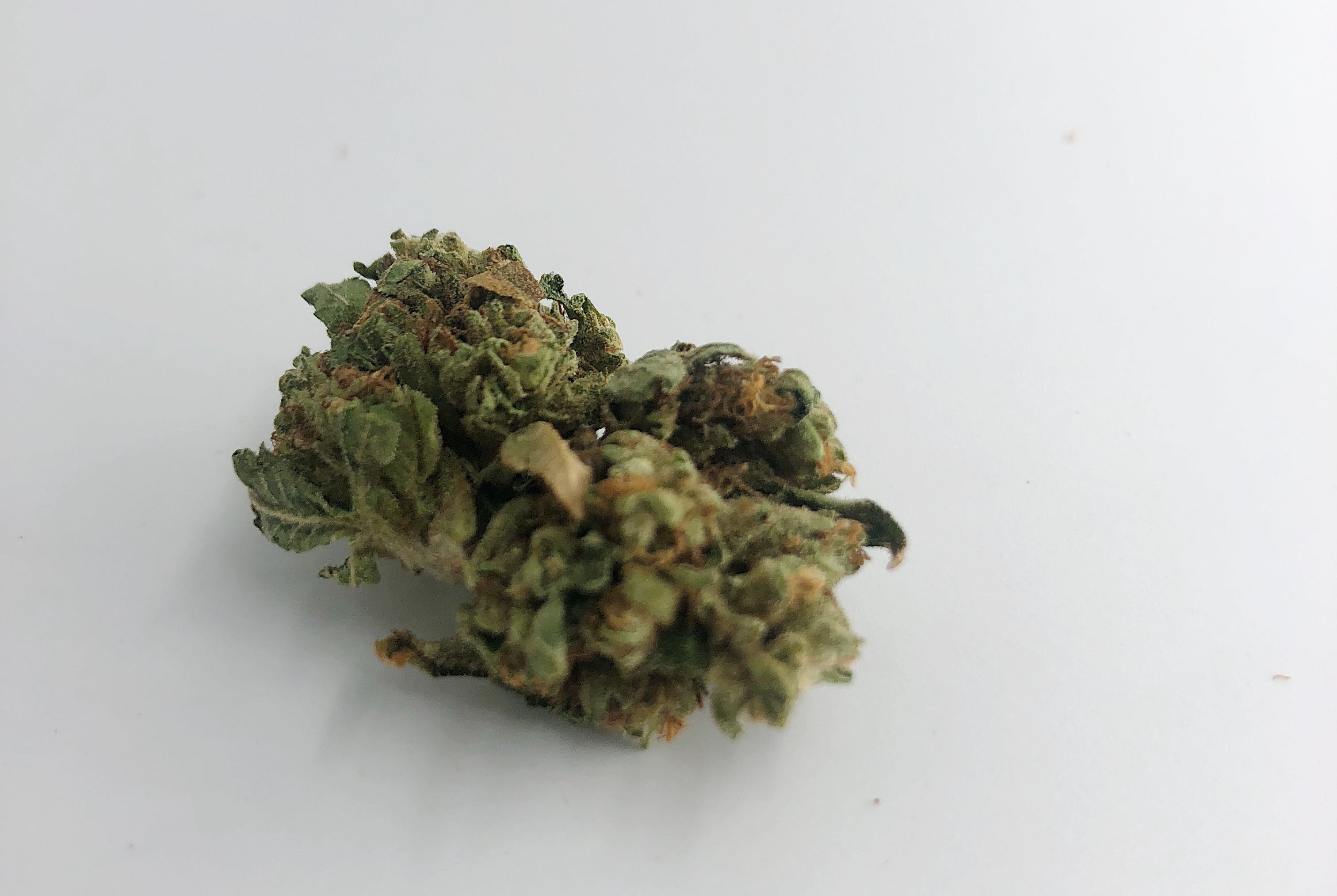 marijuana-dispensaries-333-old-newport-blvd-newport-daily-deals-sour-og