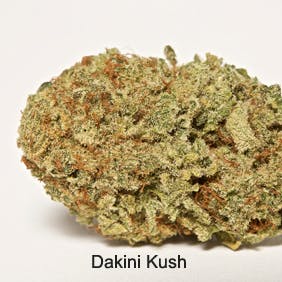 marijuana-dispensaries-alternative-therapies-group-recreationalmedical-in-salem-dakini-kush