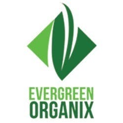 Dark Chocolate Bar (Sugar Free) - Evergreen Organix