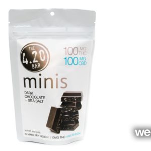 Dark Chocolate Sea Salt Mini 4:20 Bars 10 pack