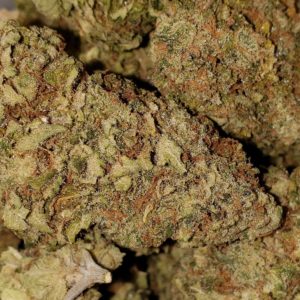 Dawg Bomb 23.17% THC - Oregon Cannabis Authority