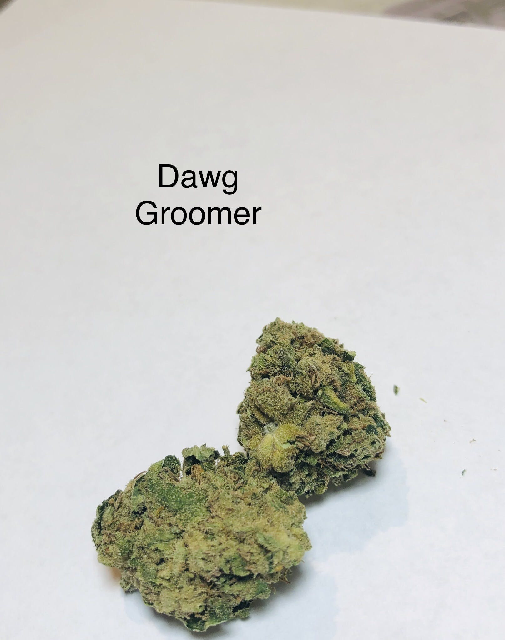 marijuana-dispensaries-the-green-source-lll-in-colorado-springs-dawg-groomer