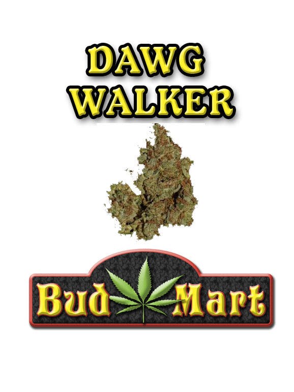marijuana-dispensaries-marie-janes-cannabis-connection-in-corvallis-dawg-walker