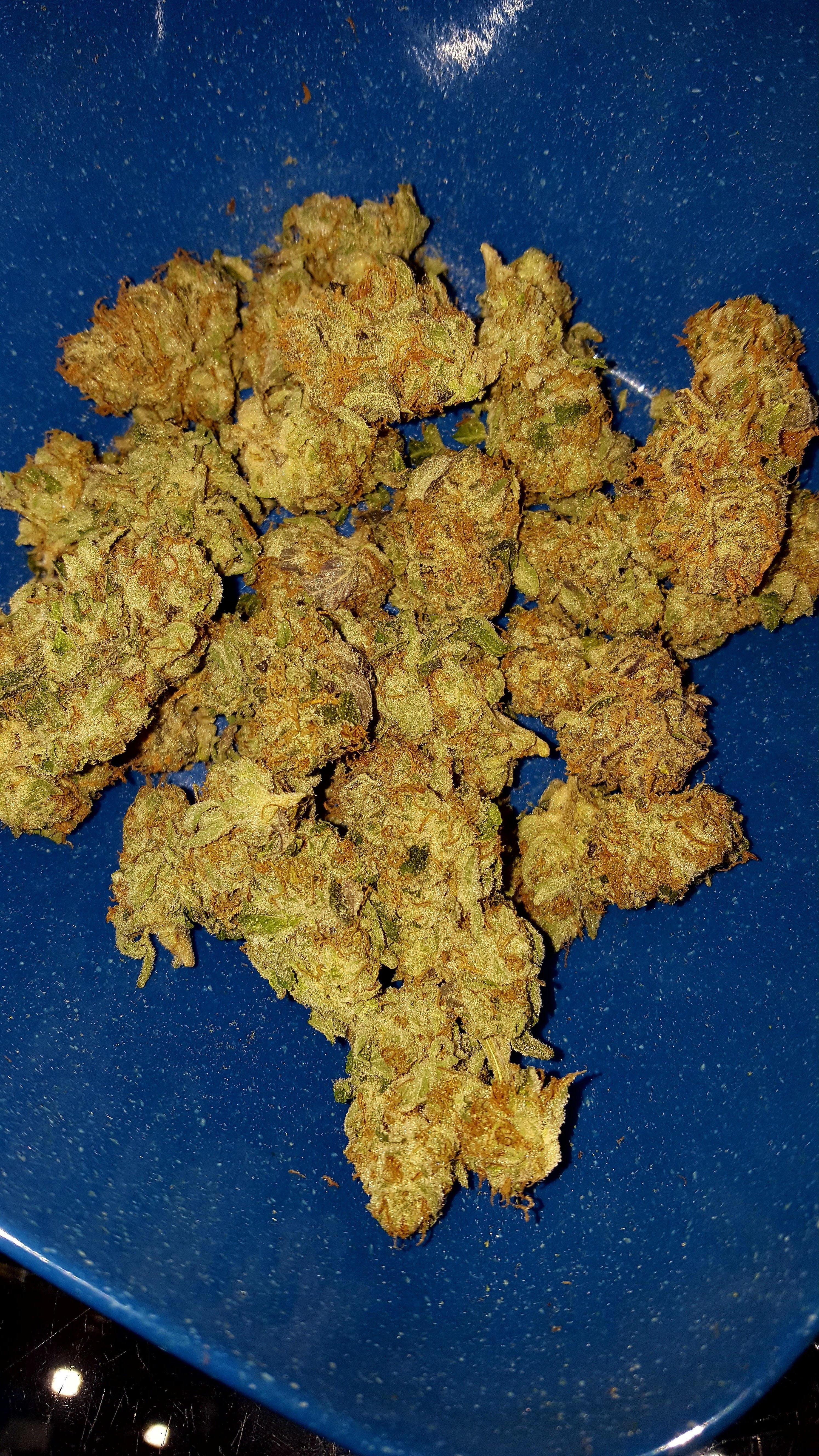 marijuana-dispensaries-10030-w-27th-ave-wheat-ridge-daywrecker-og