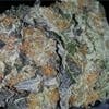 marijuana-dispensaries-kompo-in-taylor-dead-head-og