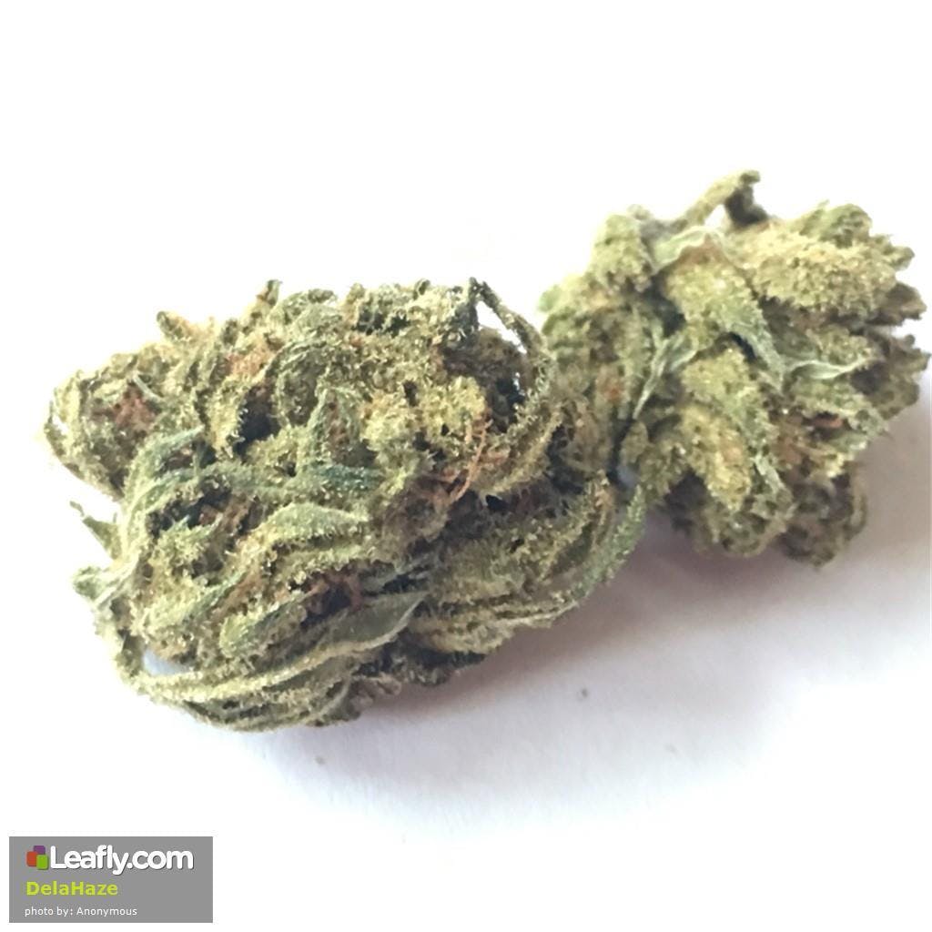 marijuana-dispensaries-823a-elkridge-landing-road-linthicum-heights-dela-haze