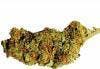 marijuana-dispensaries-canopi-southwest-in-las-vegas-delirium-real-sun-grown