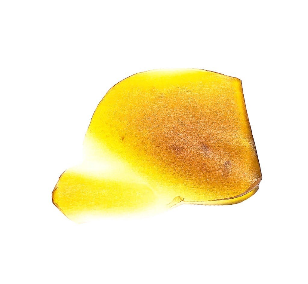 concentrate-denver-dab-co-star-tribe-shatter