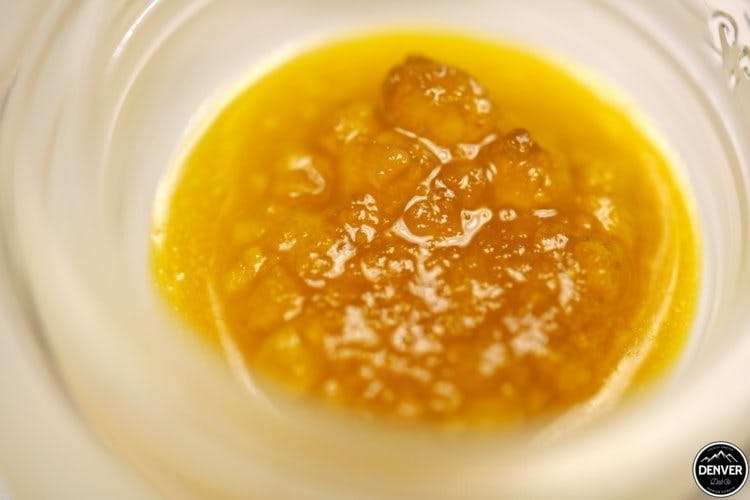 concentrate-denver-dab-co-white-dawg-live-resin