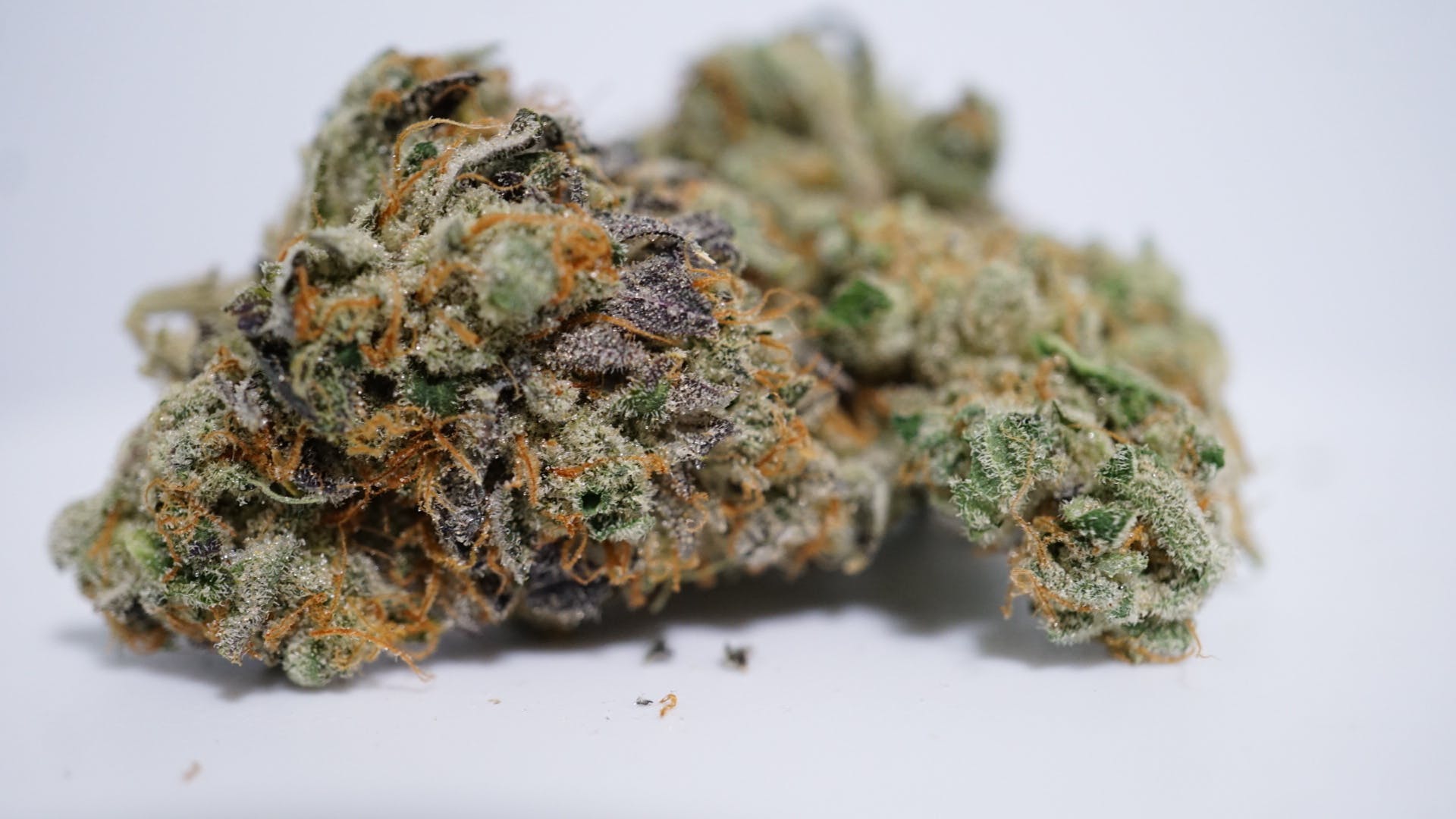 marijuana-dispensaries-9291-baltimore-national-pike-ellicott-city-diesel-dough-by-culta