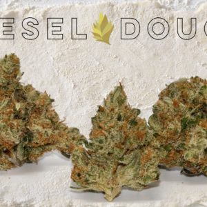 Diesel Dough - from Culta