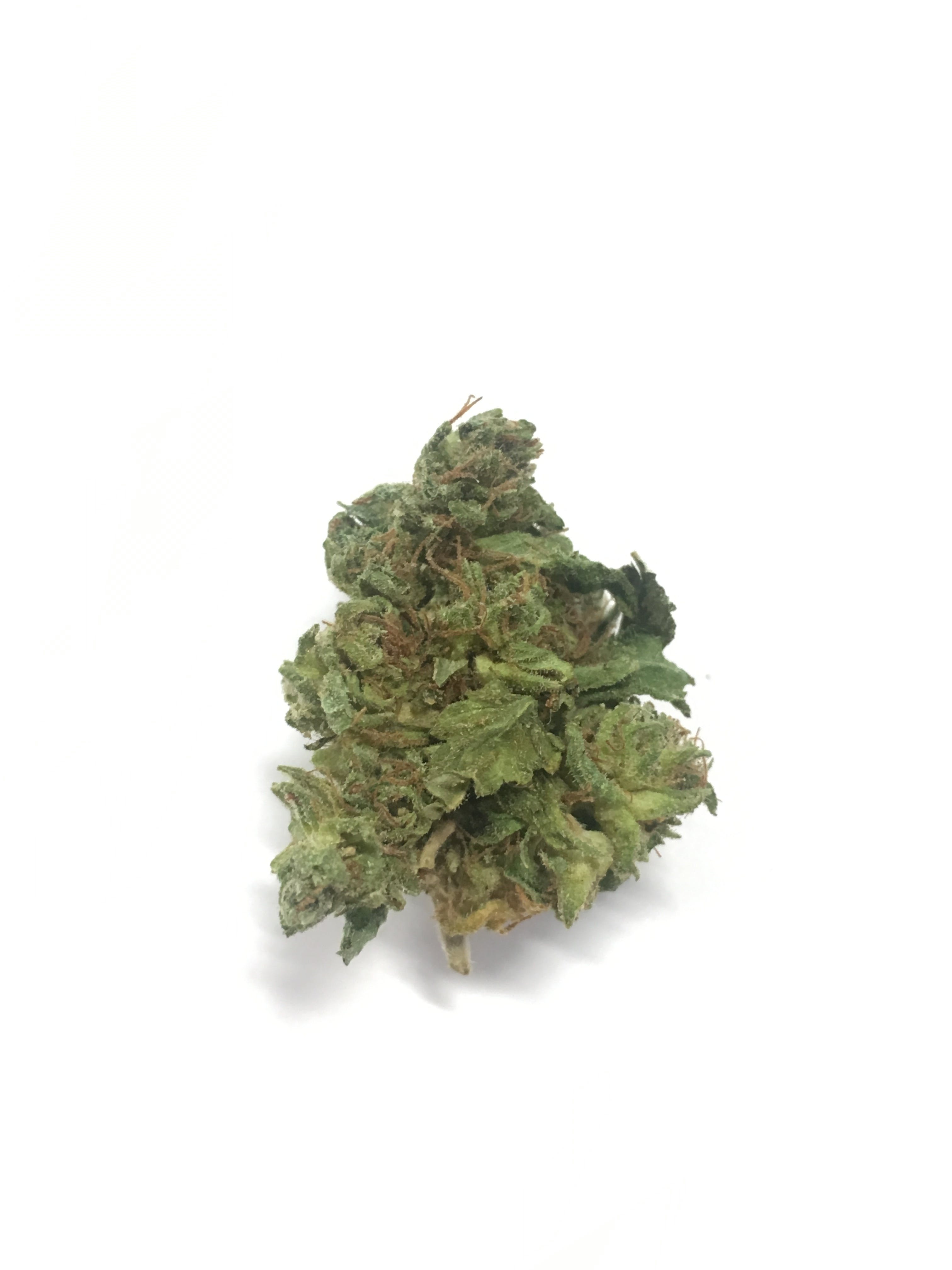 marijuana-dispensaries-head-change-323-in-los-angeles-diesel-og