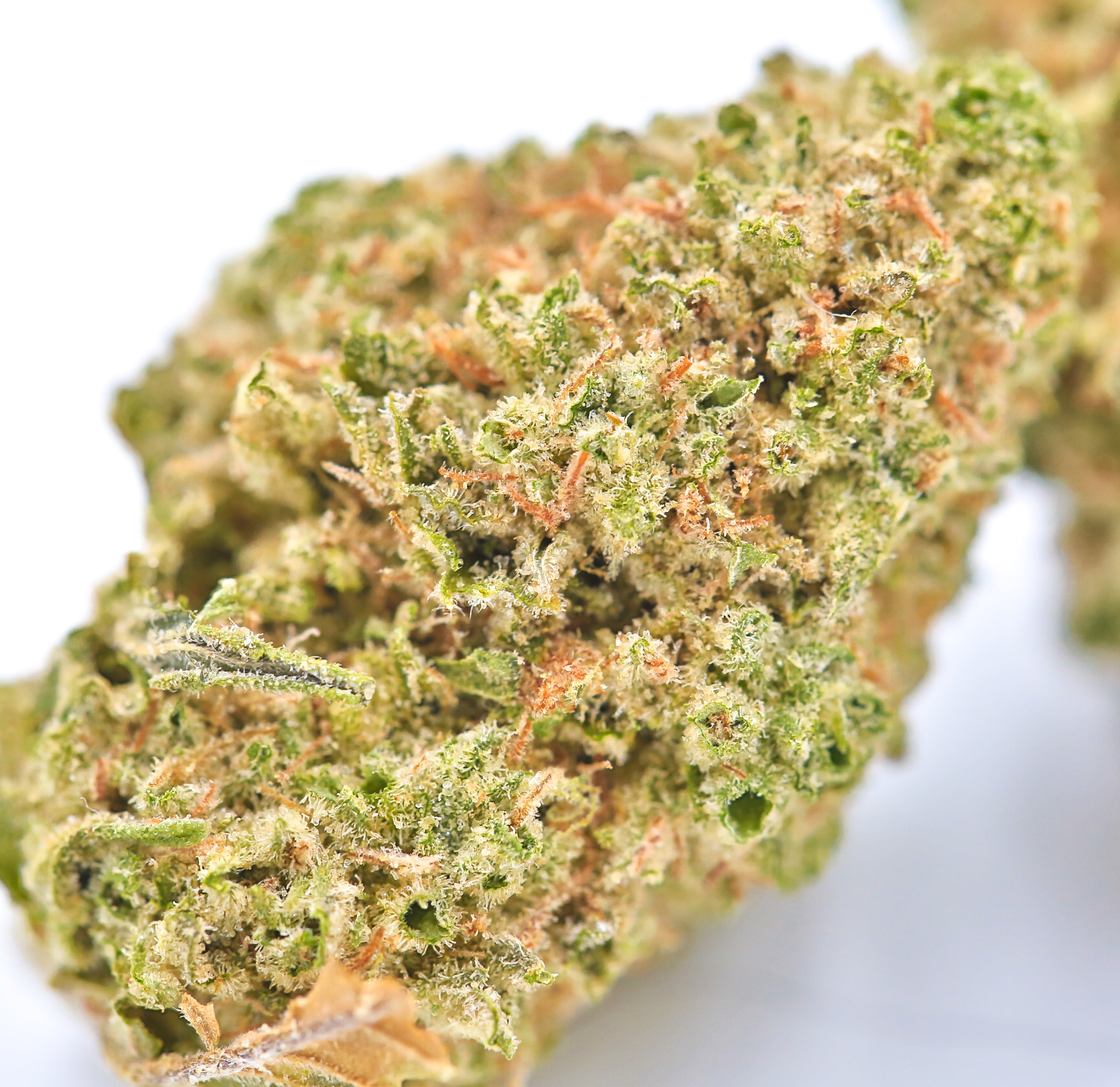 marijuana-dispensaries-green-genie-in-detroit-dirty-zprite