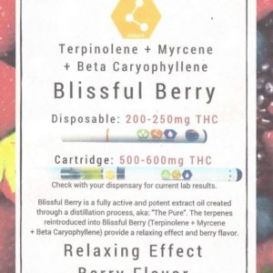 Disposable Pen - Blissful Berry (500mg)