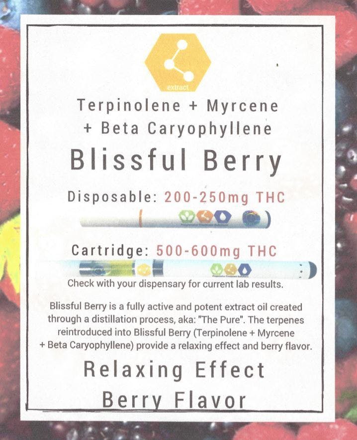 marijuana-dispensaries-4758-n-milwaukee-ave-chicago-disposable-pen-blissful-berry-500mg