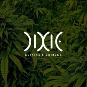 Dixie | Synergy Balm